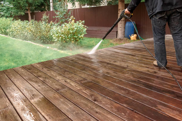 Best Roof Washing  in Staples, MN