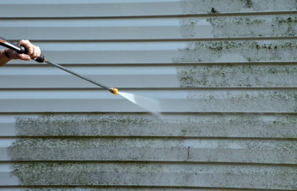 Best Dumpster Area Cleaning  in Staples, MN