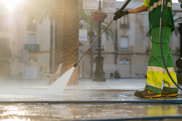 Best Gutter Cleaning  in Staples, MN